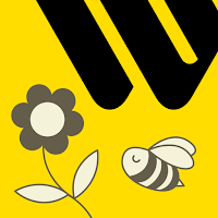Western Union Send Money Now