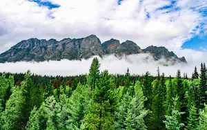Nature wallpaper Screenshot 2