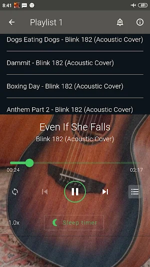BLINK 182 Cover Screenshot 2