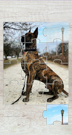 Dogs Jigsaw Puzzle Screenshot 2