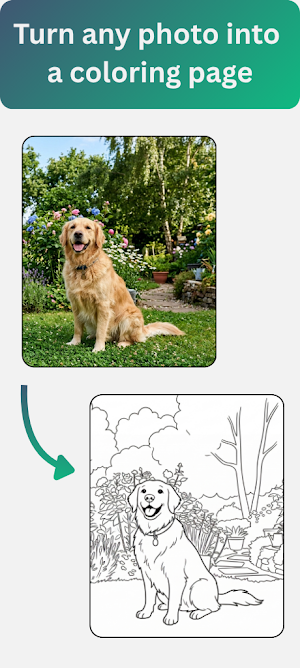 Lineify: Coloring from Photo Screenshot 0