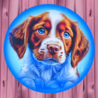 Bubble Dogs