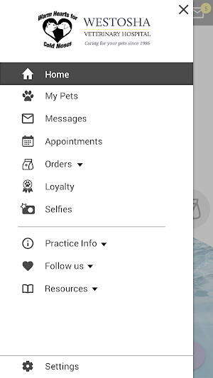 WestoshaVet Screenshot 1