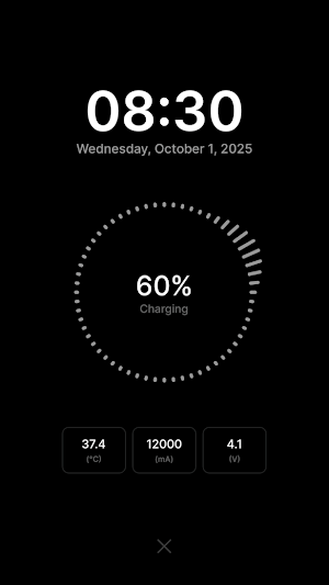Fast Charge Checker - Ampere Screenshot 3