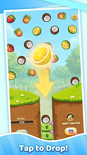 Fruit Drop Puzzle Screenshot 1
