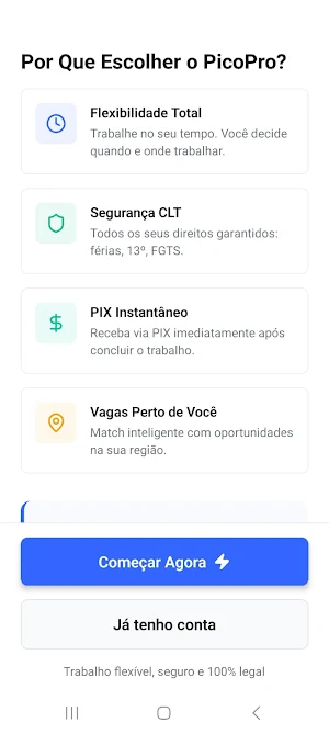 PicoPro Screenshot 3