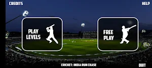 Cricket India Chase Maestro Screenshot 2