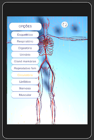 Anatomy Systems Screenshot 3