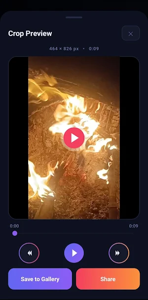Crop Video Screenshot 3