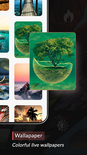 4k Wallpapers : HD Backgrounds Screenshot 3
