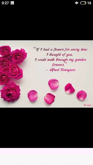 Love Quotes & Good Night Love Screenshot 2