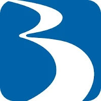 BraunAbility