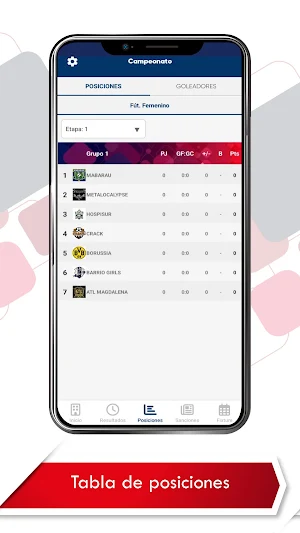 Liga Magisterio de Pichincha Screenshot 3