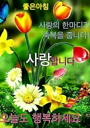 사진 좋은 아침 Screenshot 1