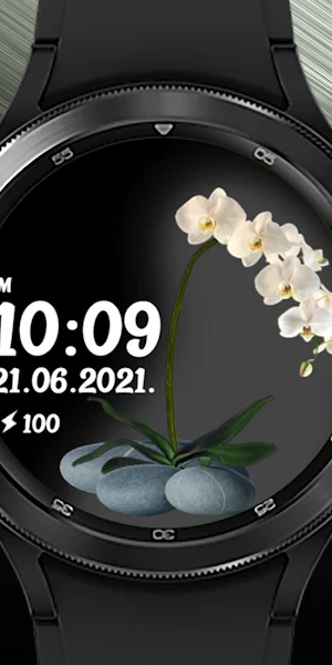 Orchids Screenshot 0