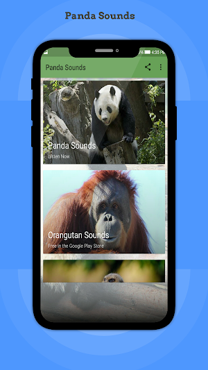 Panda Sounds Screenshot 0