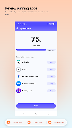 LiteClean Screenshot 3