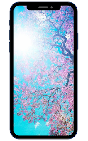 Beautiful Spring Wallpapers Screenshot 0