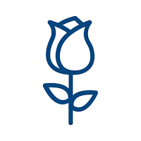 Iron Roses