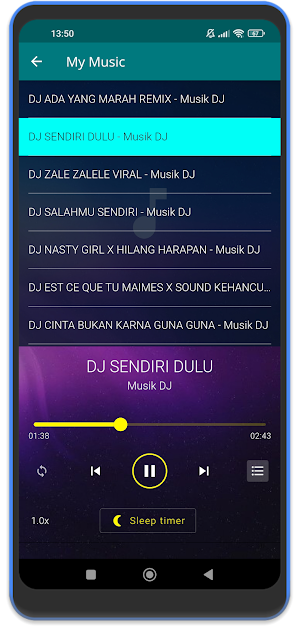 DJ Ayo Sayang Culik Aku Dong Screenshot 3