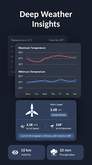 Live Weather Forecast Screenshot 2