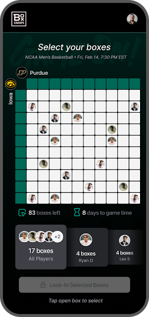 Box Champs Screenshot 2