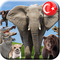 Hayvanlar Alfabe ve Sesler