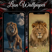 Lion HD Wallpaper