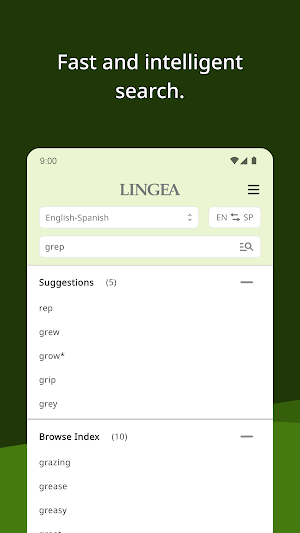 Lingea HandyLex Dictionary Screenshot 2
