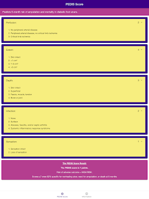PEDIS Score Diabetes App - Diabetic Foot Ulcer Screenshot 3