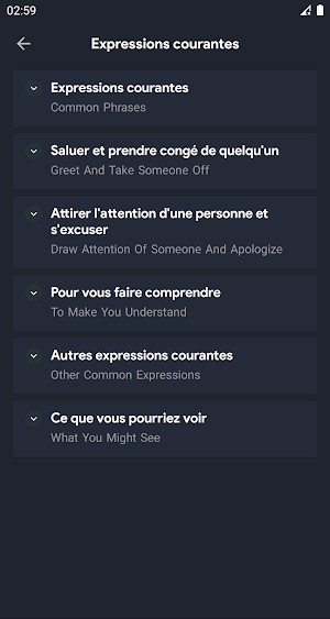 French Conversations - French Practice Screenshot 3