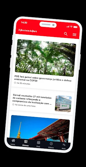 A Província do Pará - Portal Screenshot 1