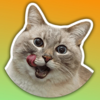 Stickers for every day WAStickerApps