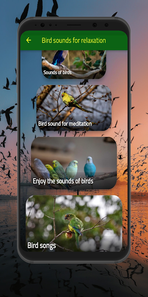 bird sounds : Birds Ringtones Screenshot 2