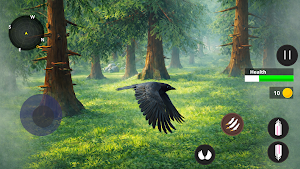 Raven Bird Simulator Screenshot 2