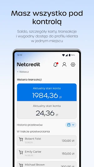 Netcredit Screenshot 1