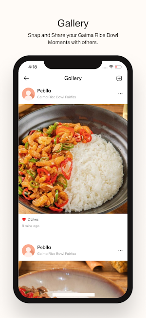Gaima Rice Bowl Screenshot 3