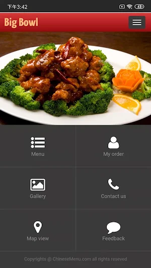 Big Bowl Chinese Restaurant Screenshot 0
