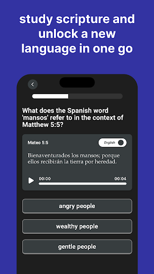 BibleLingua: Language Lessons Screenshot 2