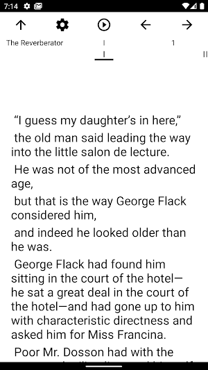 Book, The Reverberator Screenshot 1