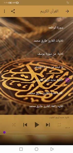 القران الكريم بصوت طارق محمد بدون نت جودة عالية Screenshot 3