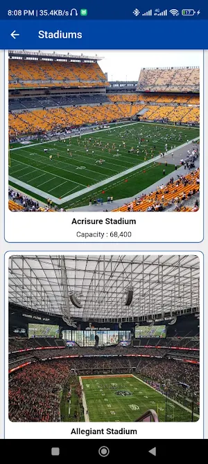 American Football league Screenshot 3
