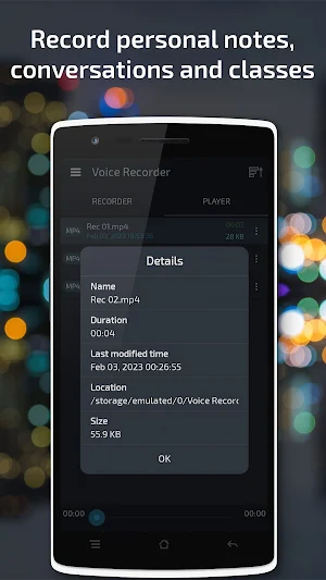Voice Recorder Screenshot 2