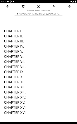 Book, A Summer in Leslie Goldthwaite's Life. Screenshot 2