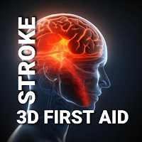 3D Stroke Guidelines