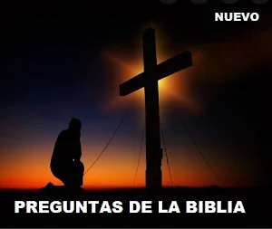Preguntas de la Biblia Screenshot 0