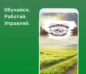 Школа ЧМК Screenshot 0