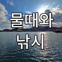 물때와낚시 (물때표,날씨,낚시,수온,조석예보,CCTV)
