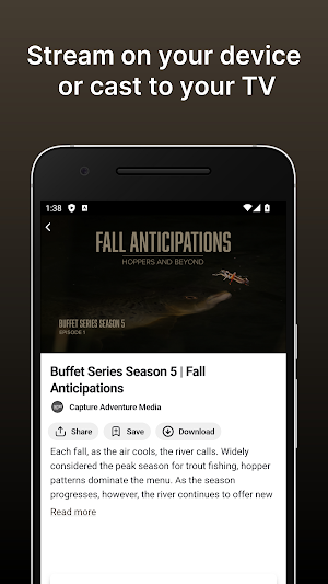 Fly Fusion Streaming Screenshot 2