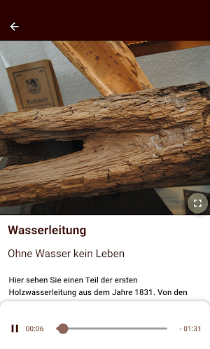 Deutsches Stuhlbaumuseum Screenshot 2